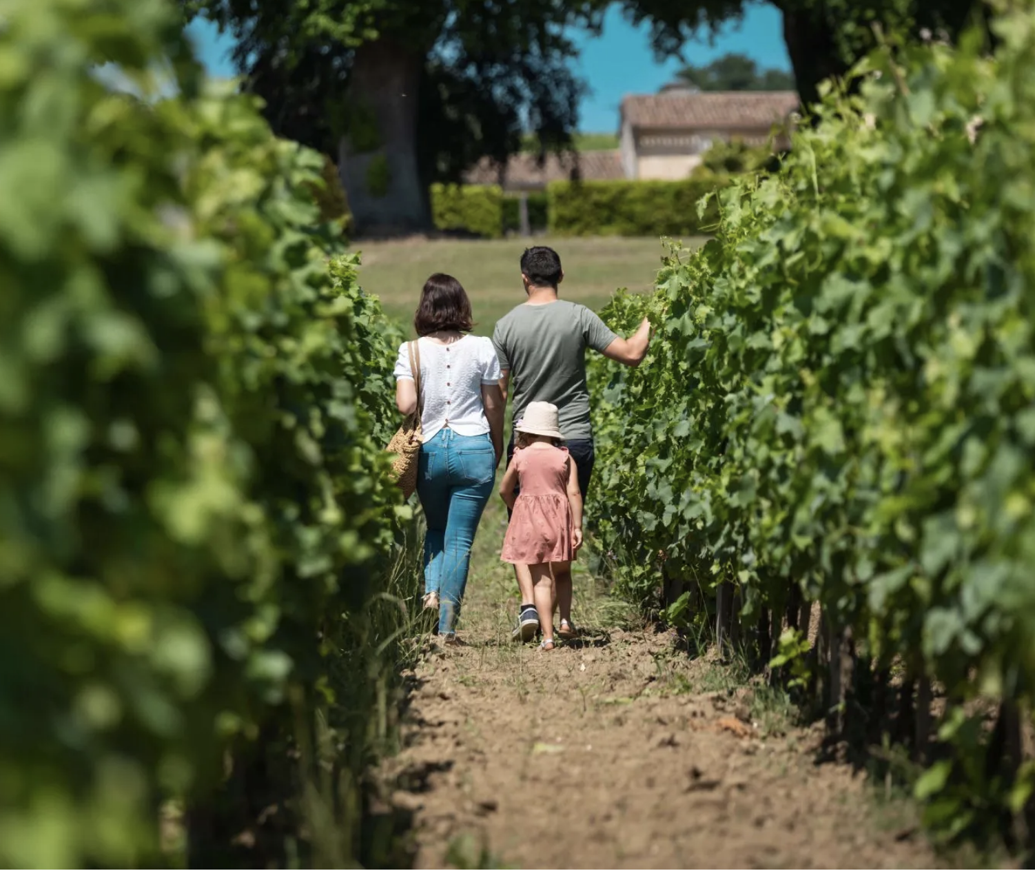 Visite des vignobles