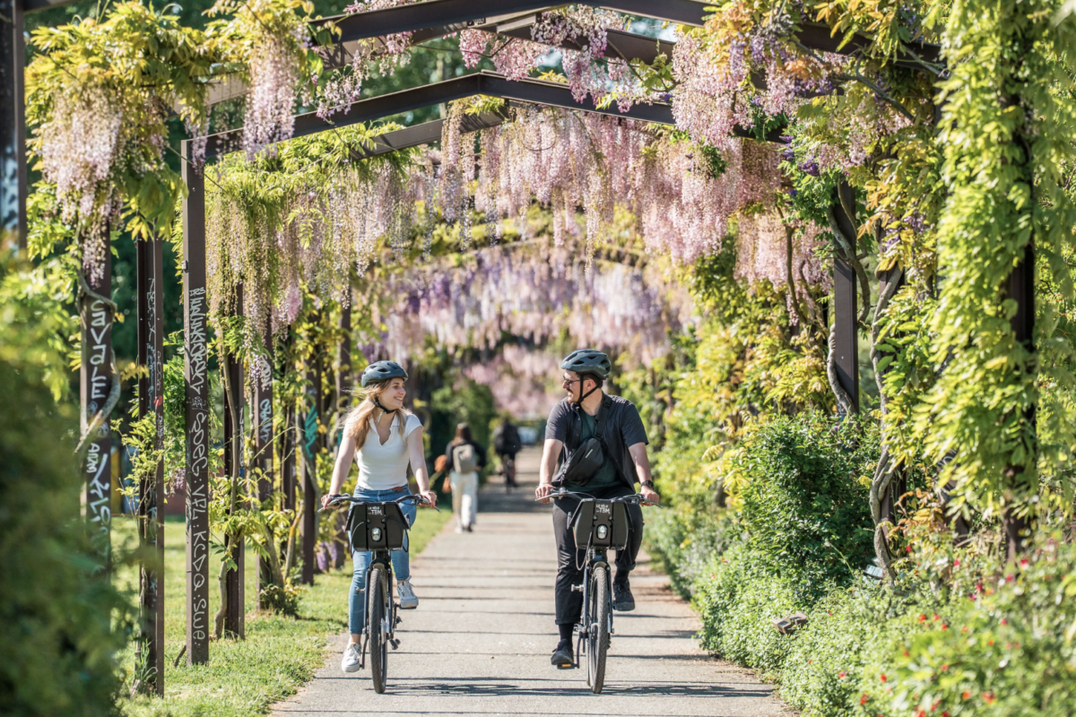 Loisirs vertueux à Bordeaux