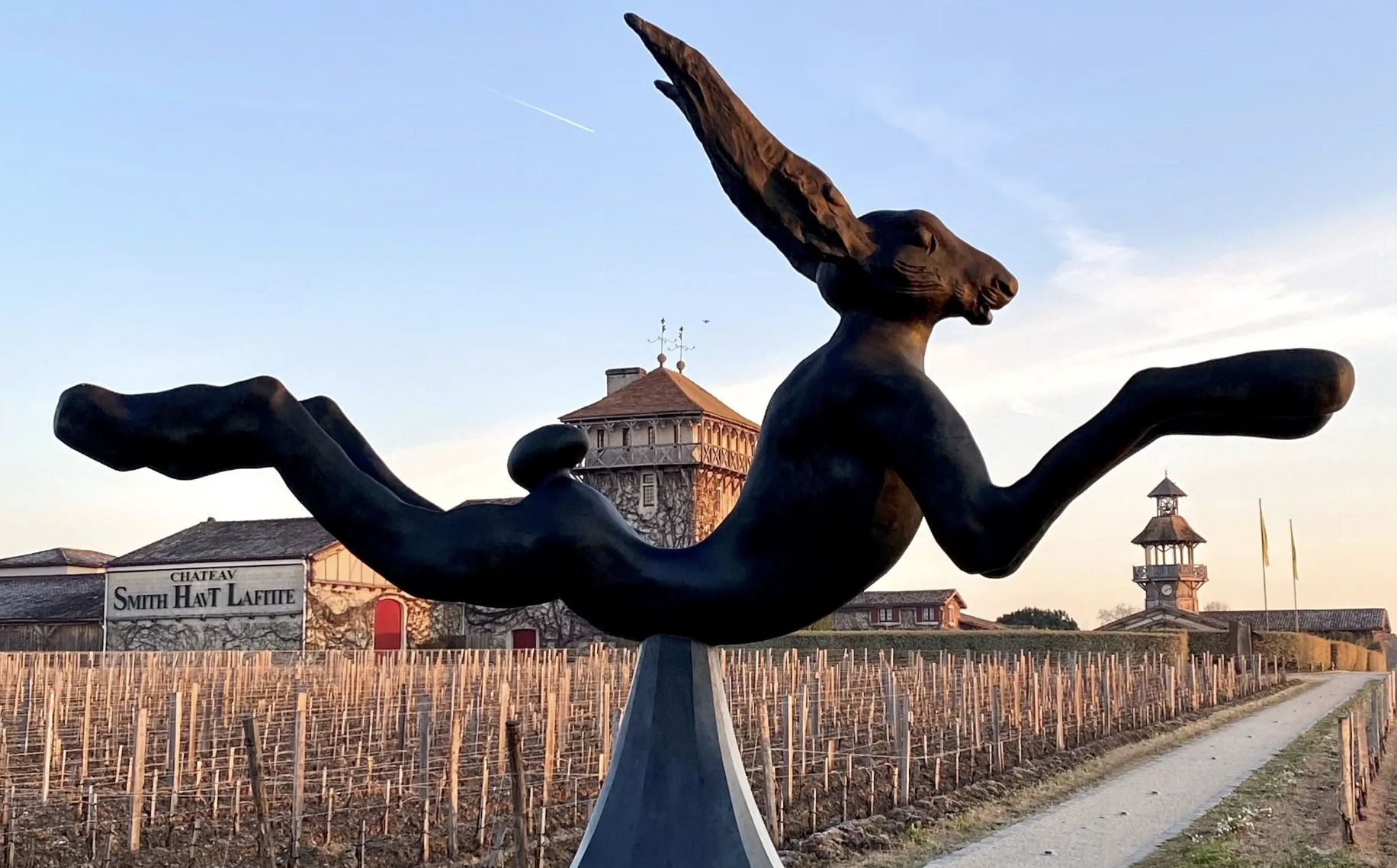 Art contemporain et vignoble