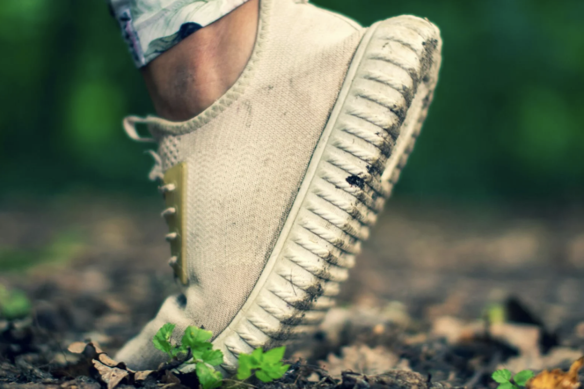 Se dépenser sans se ruiner