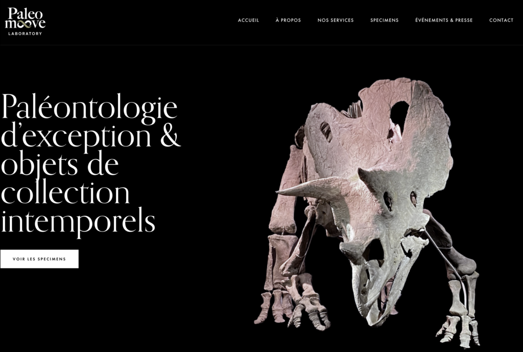 site internet Paléontologie d'exception et objets de collection